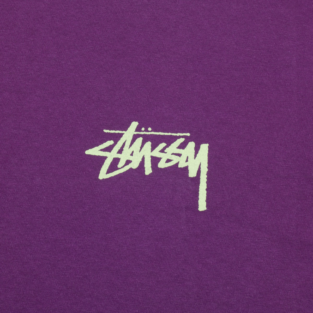 Young Moderns Pigment Dyed T-Shirt