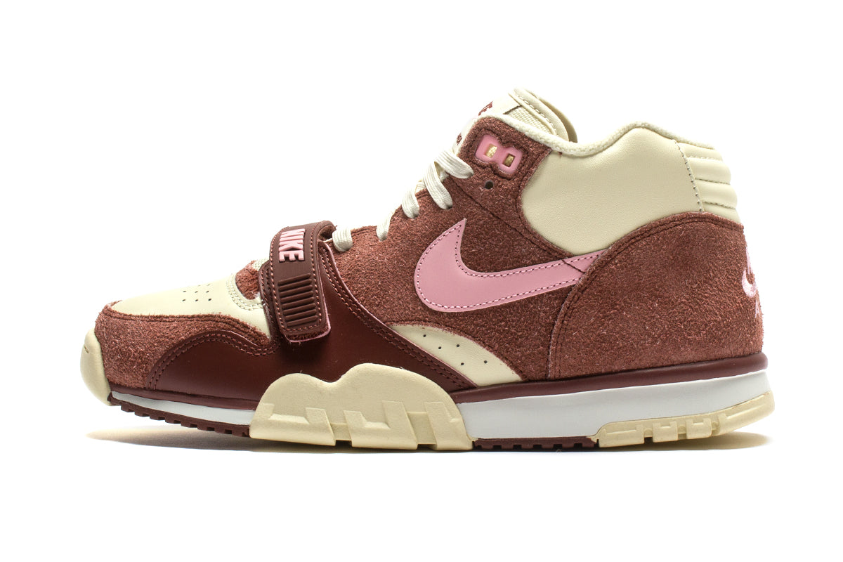 Air Trainer 1