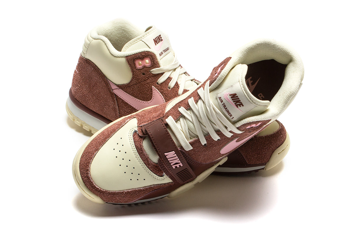 Air Trainer 1