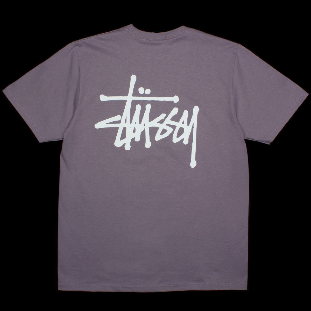 Basic Stussy T-Shirt