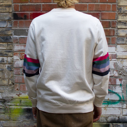Bird Face Font Sleeve Stripes Sweatshirt