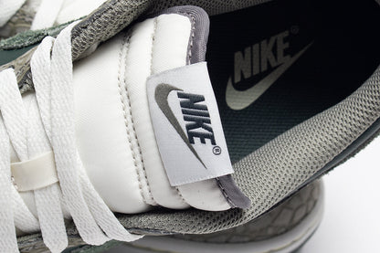 Dunk Low Retro Premium