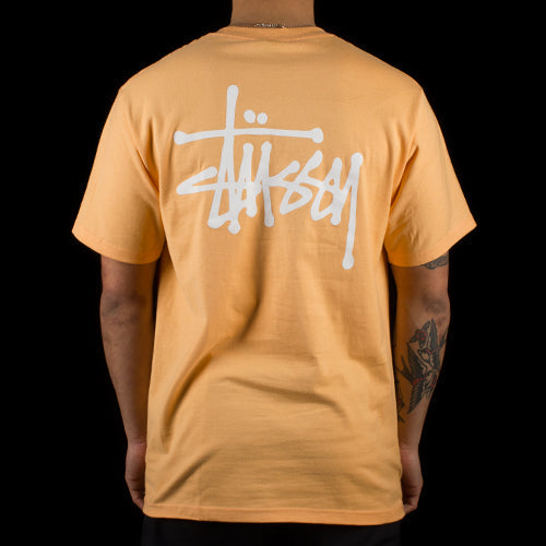 Basic Stussy T-Shirt
