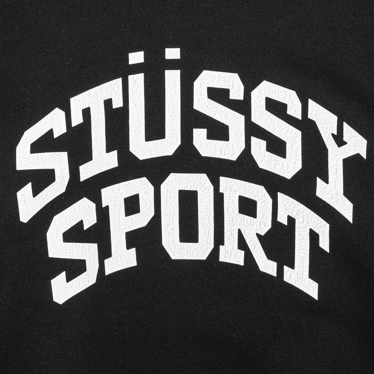 Big Crackle Sport Crewneck