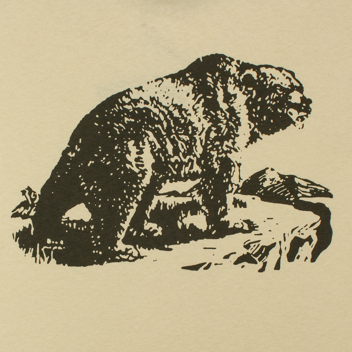 Frontier Graphic Bear T-Shirt