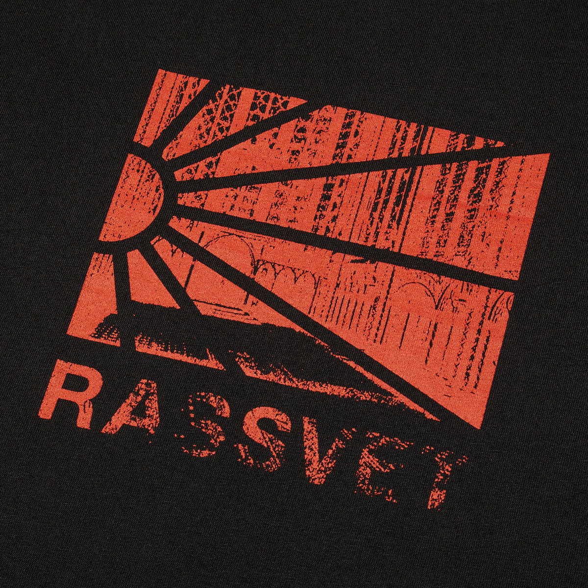 Ray Logo T-Shirt