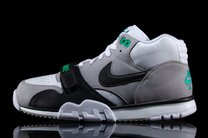 Air Trainer 1