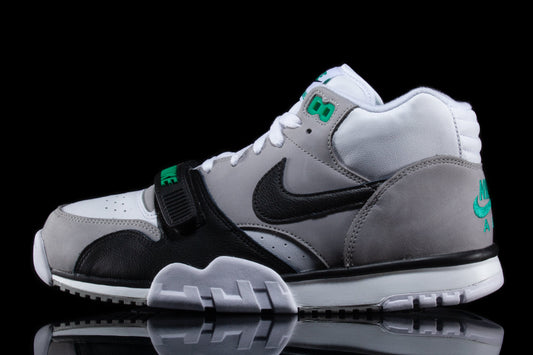 Air Trainer 1