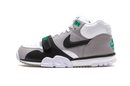 Air Trainer 1
