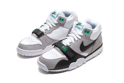 Air Trainer 1