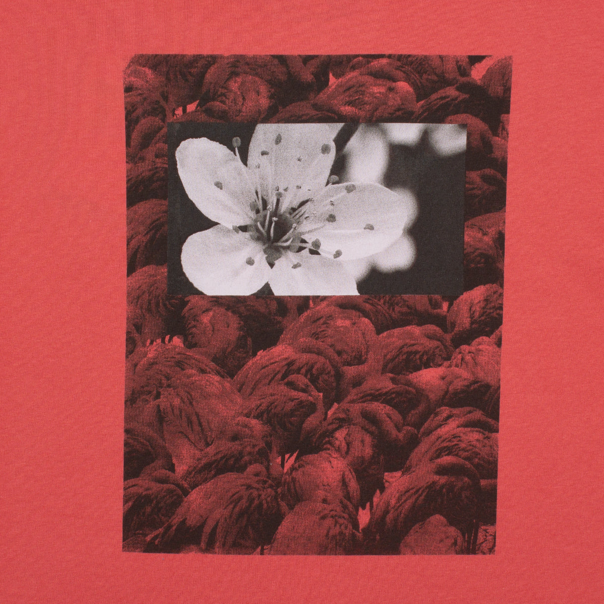 Natural Borders T-Shirt