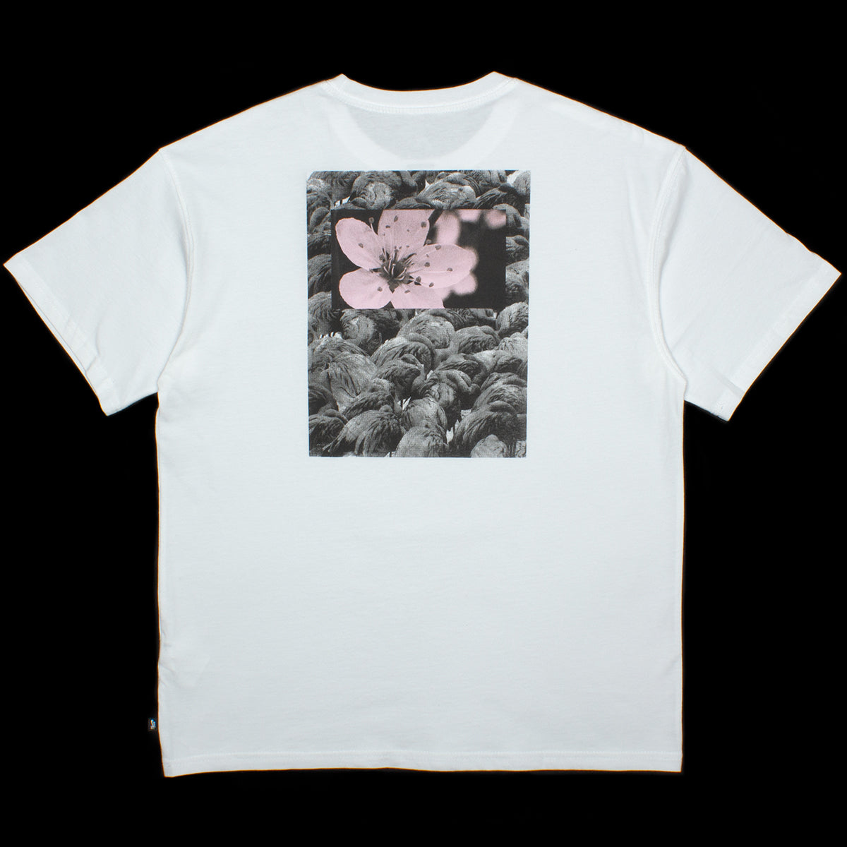 Natural Borders T-Shirt