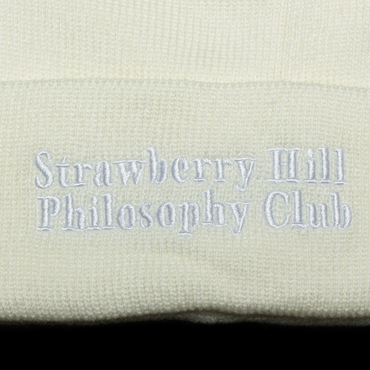 Cashmere Logo Beanie