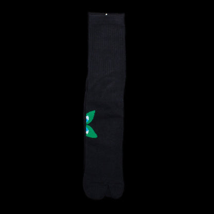 Aapi Tabi Sock