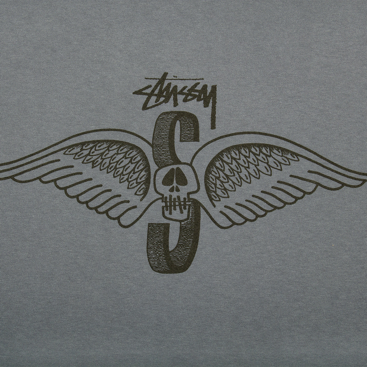 Skull Wings Pigment Dyed L/S T-Shirt