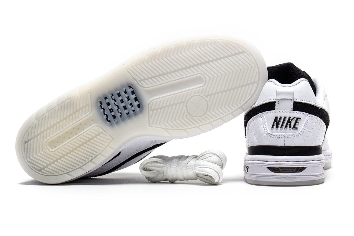 Paul Rodriguez Zoom Air Low