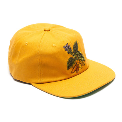 Turmeric Hat
