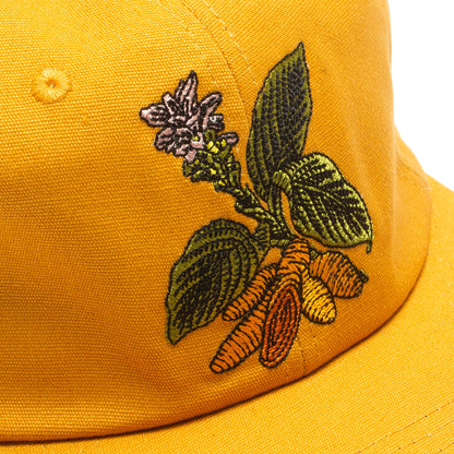 Turmeric Hat