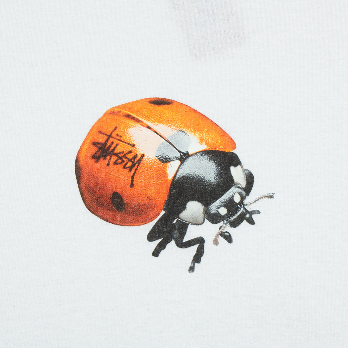 Ladybug T-Shirt