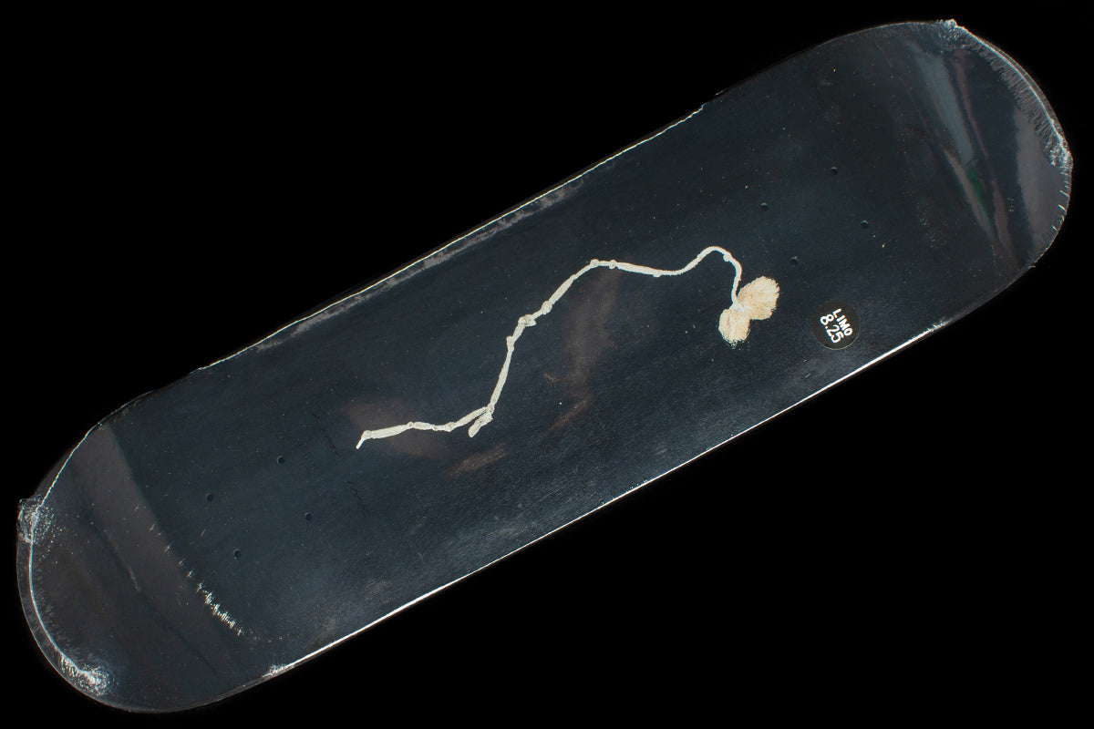 Loreth - Yuzistring Deck 8.25", 8.38" & 8.5"