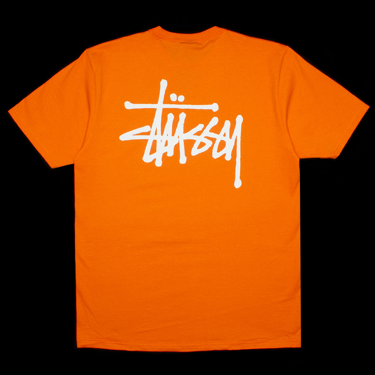 Basic Stussy T-Shirt
