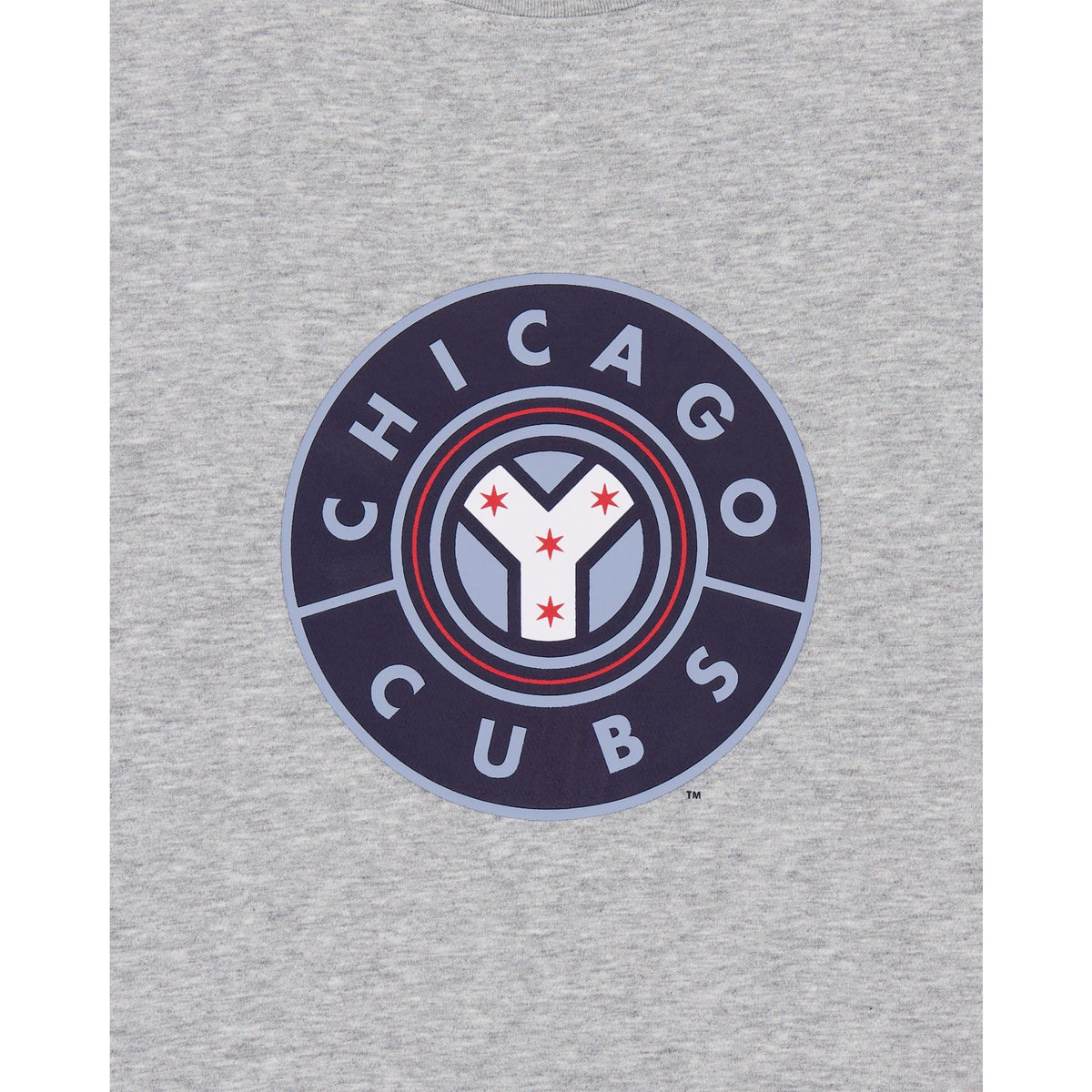 Chicago Cubs City Connect Gray T-Shirt