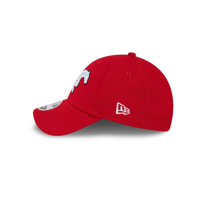 Calgary Stampeders Team 9FORTY Snapback Hat