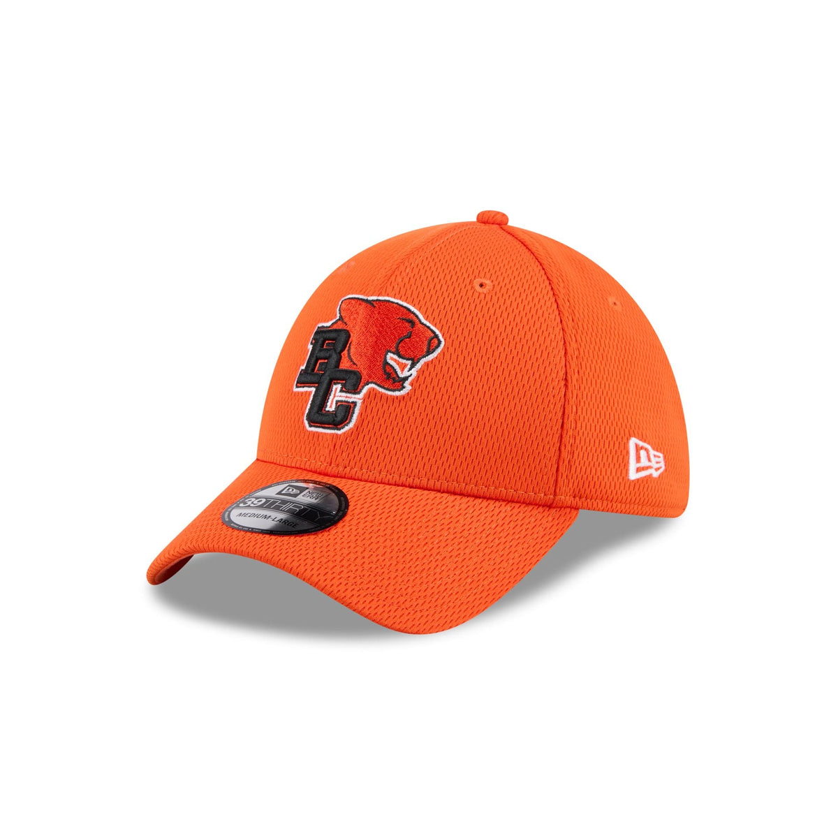 BC Lions Rear Wordmark 39THIRTY Stretch Fit Hat