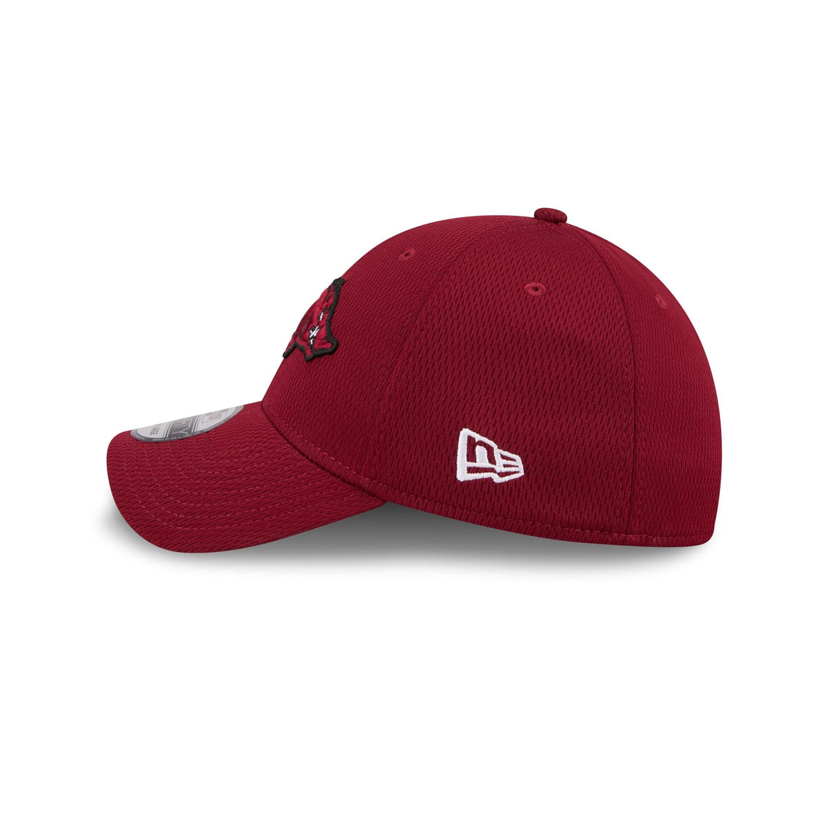 Arkansas Razorbacks Performance 39THIRTY Stretch Fit Hat
