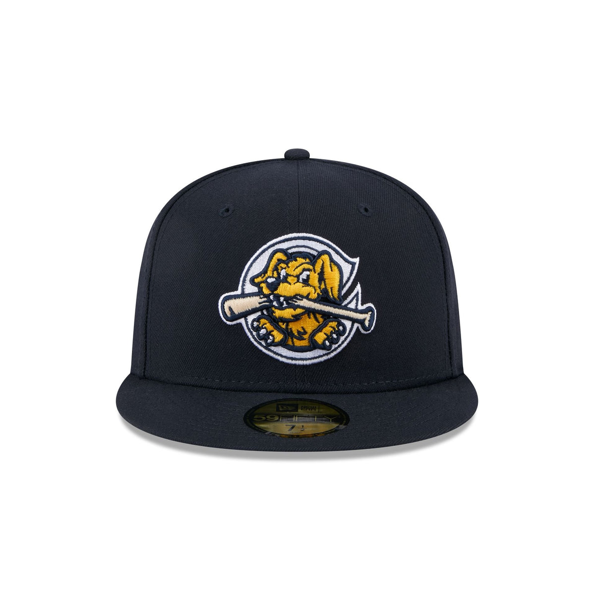 Charleston RiverDogs Authentic Collection 59FIFTY Fitted Hat