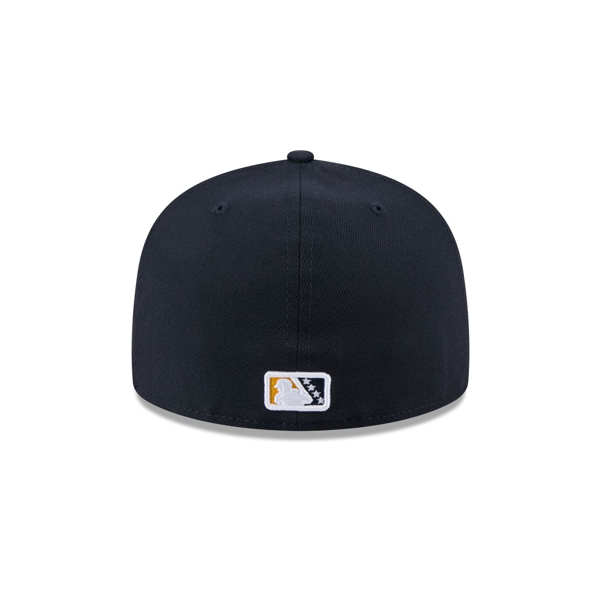 Charleston RiverDogs Authentic Collection 59FIFTY Fitted Hat