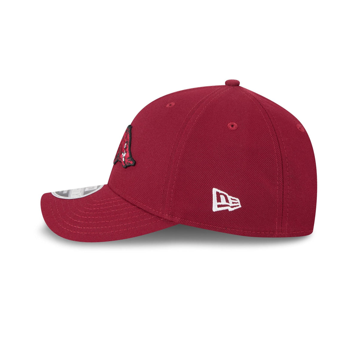 Arkansas Razorbacks Team 9FORTY M-Crown Snapback Hat