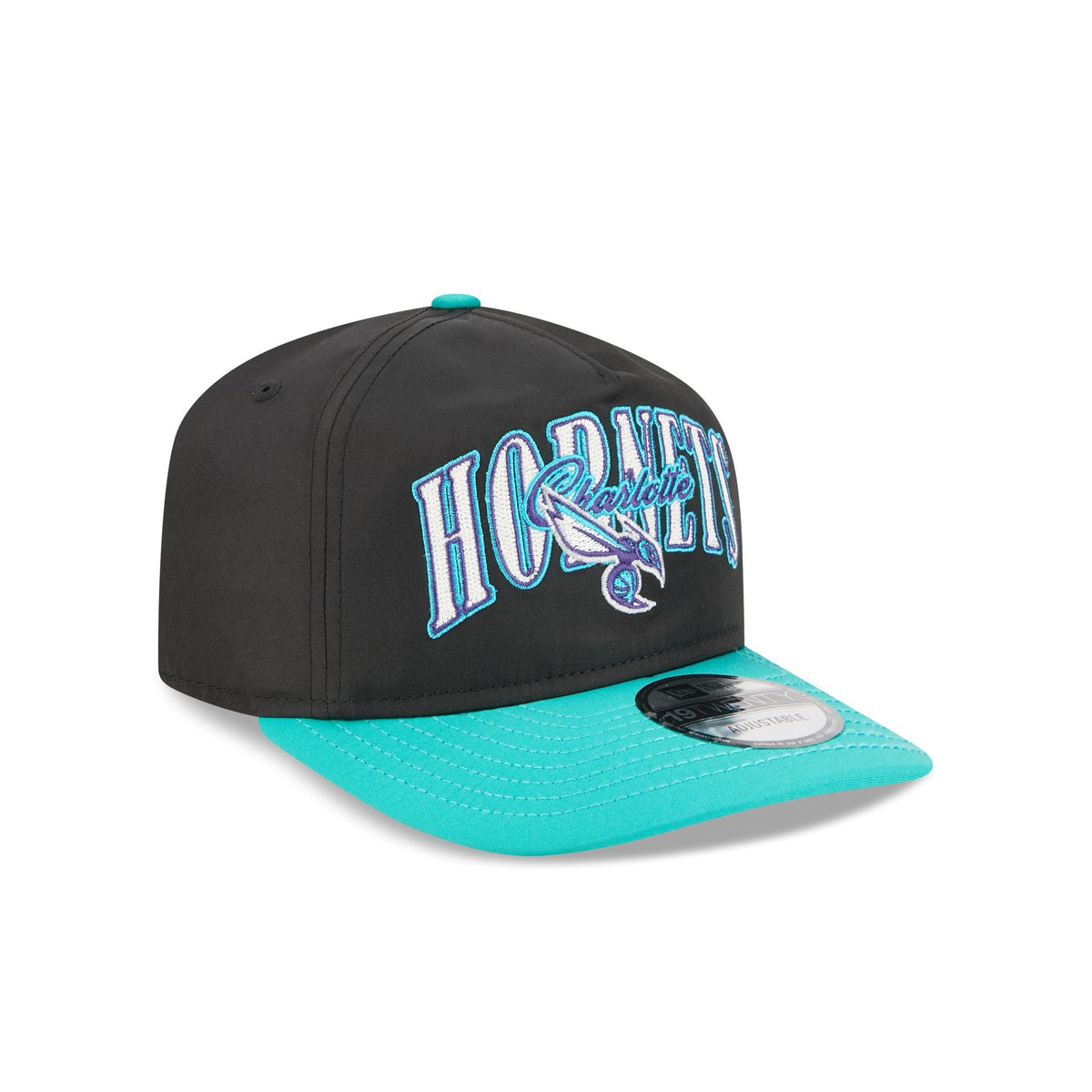 Charlotte Hornets Dual Logo 19TWENTY Adjustable Hat