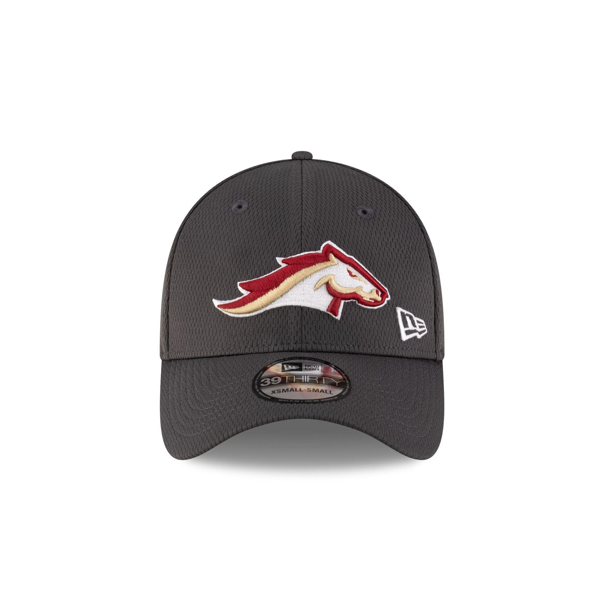 Birmingham Stallions Gray 39THIRTY Stretch Fit Hat