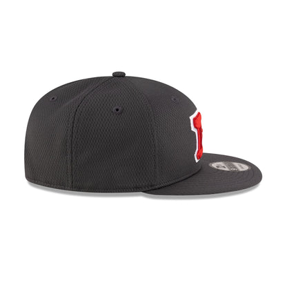 DC Defenders Gray 9FIFTY Snapback Hat