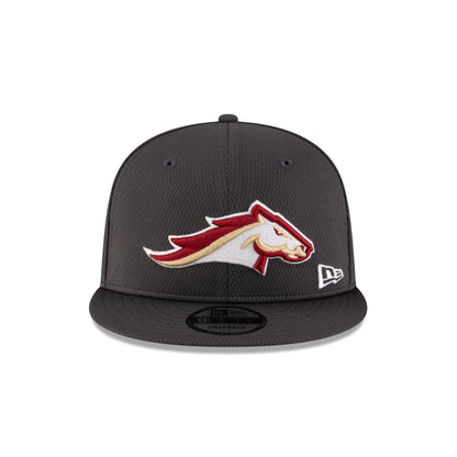 Birmingham Stallions Gray 9FIFTY Snapback Hat
