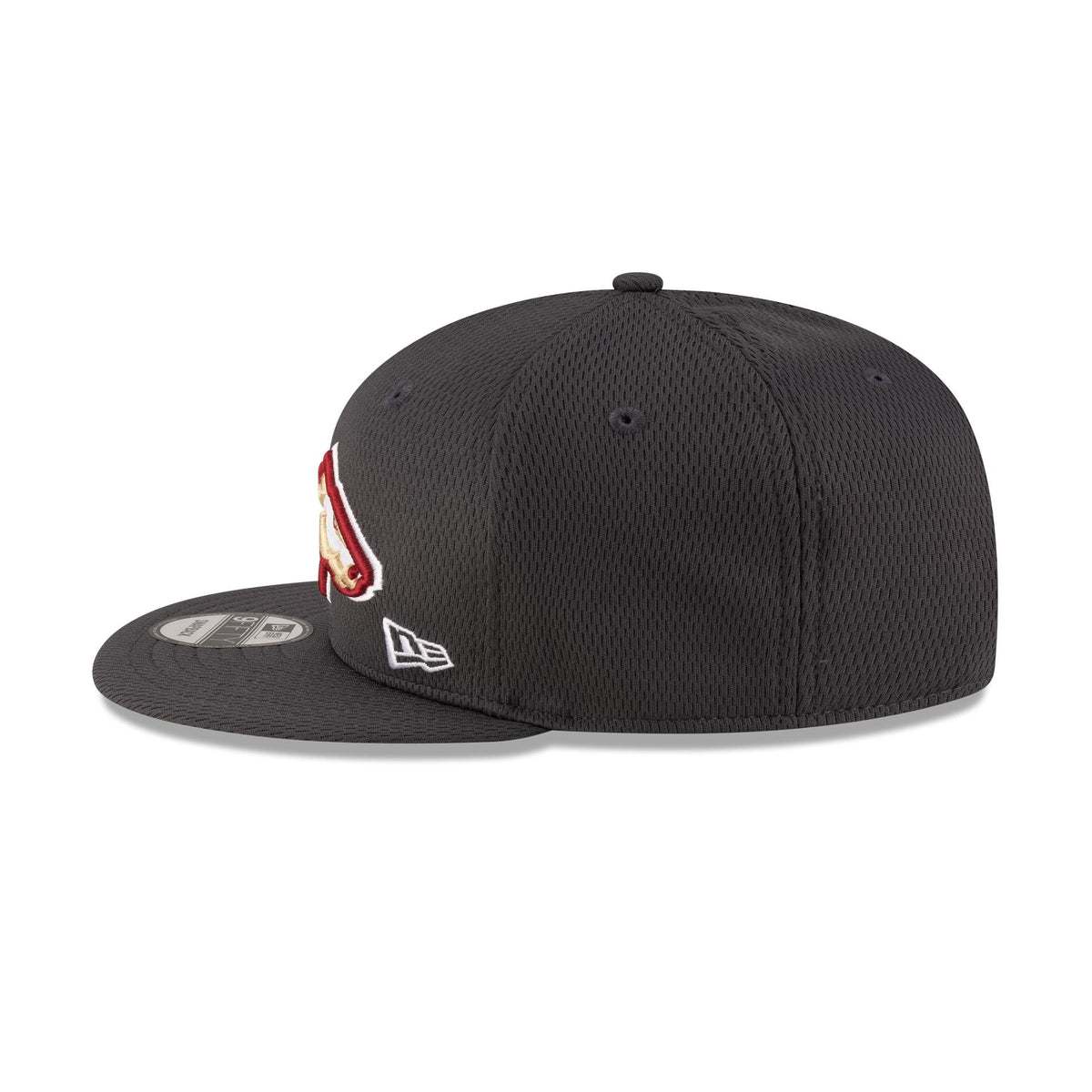 Birmingham Stallions Gray 9FIFTY Snapback Hat