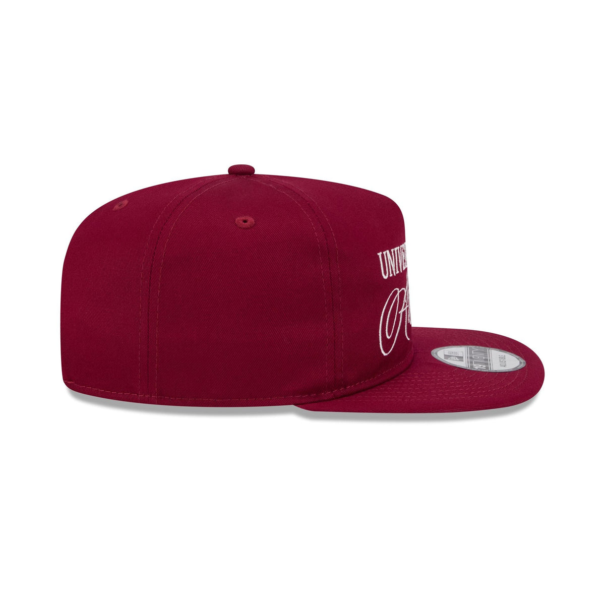 Arkansas Razorbacks Script 19TWENTY Snapback Hat