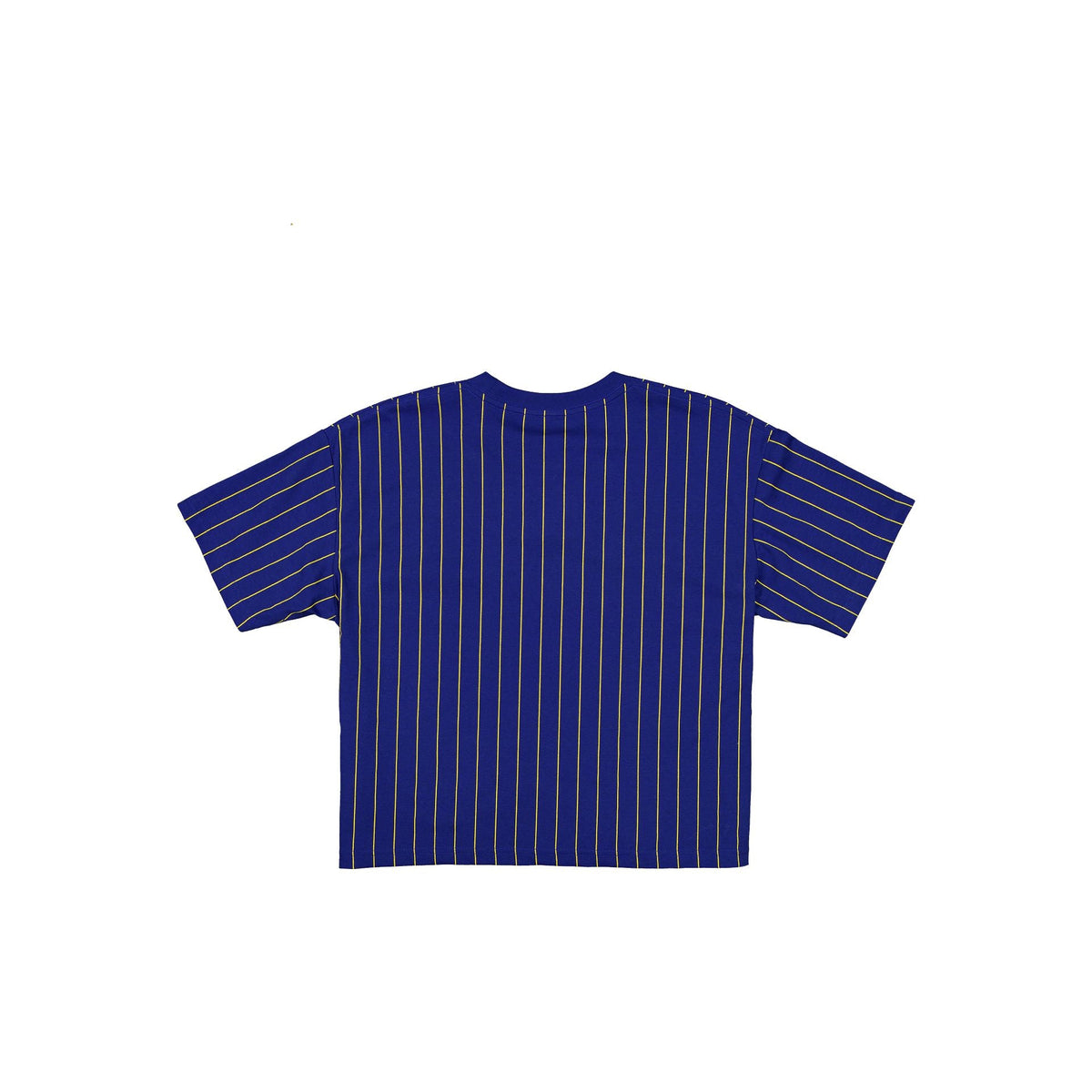 Minnesota Twins 2026 City Connect Pinstripe Women's T-Shirt