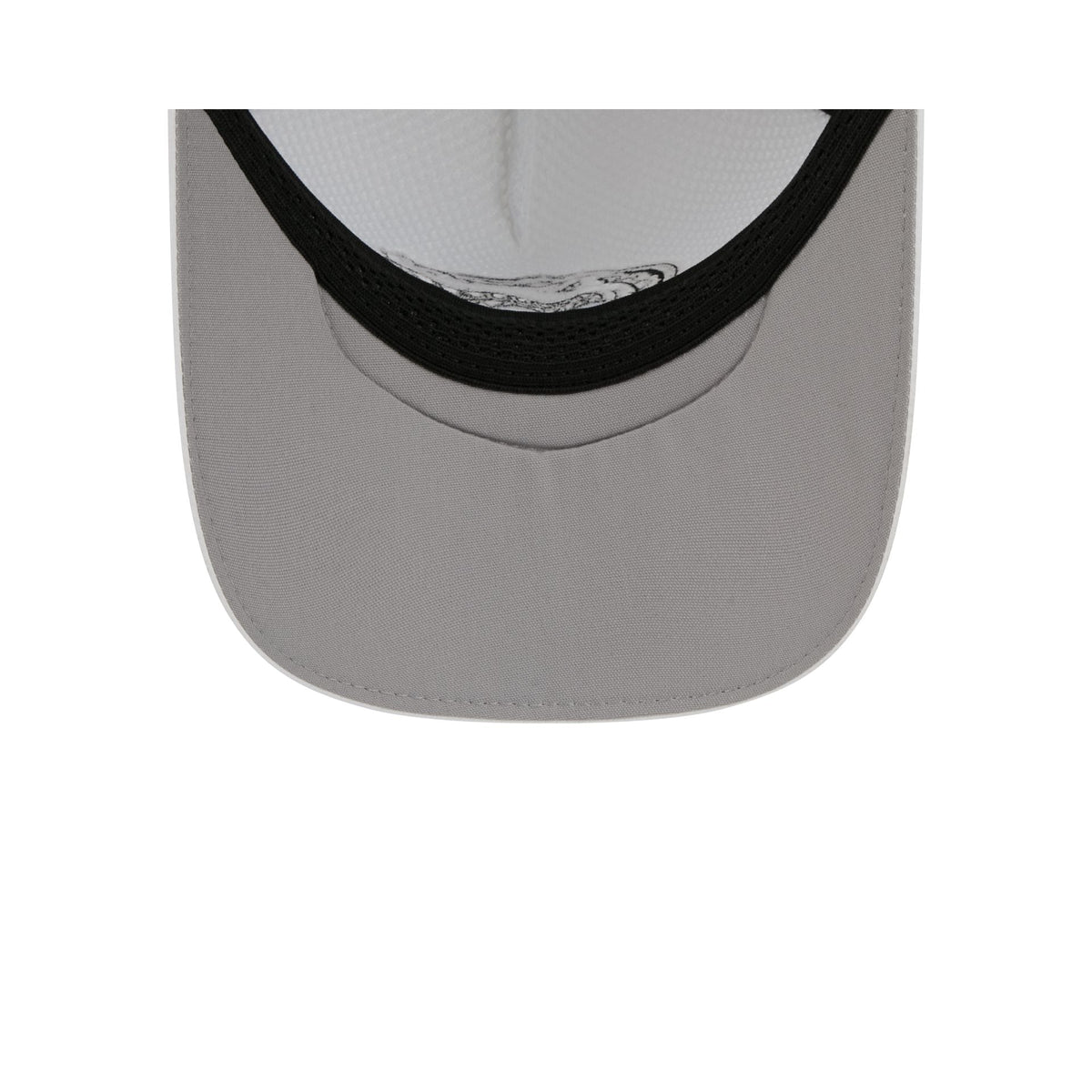 Florida Gators White 9FORTY APEX Snapback Hat