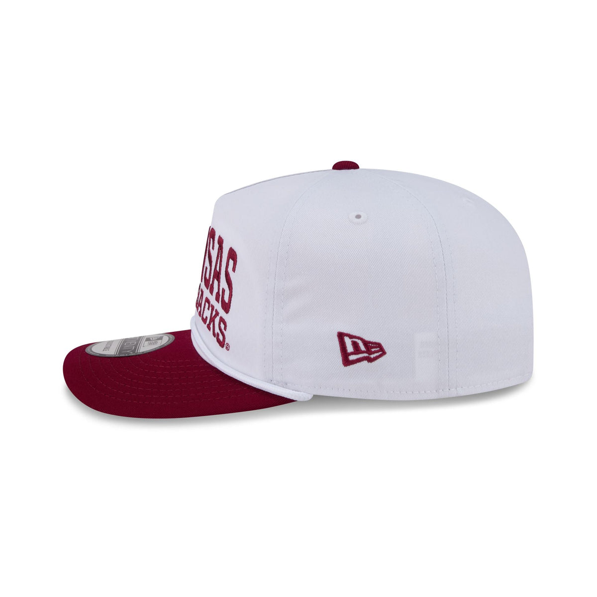 Arkansas Razorbacks Collegiate Wordmark 19TWENTY Snapback Hat