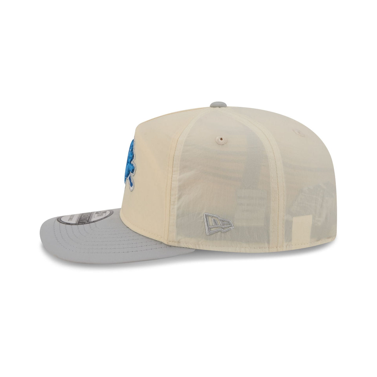 Detroit Lions Chrome Nylon 19TWENTY Adjustable Hat