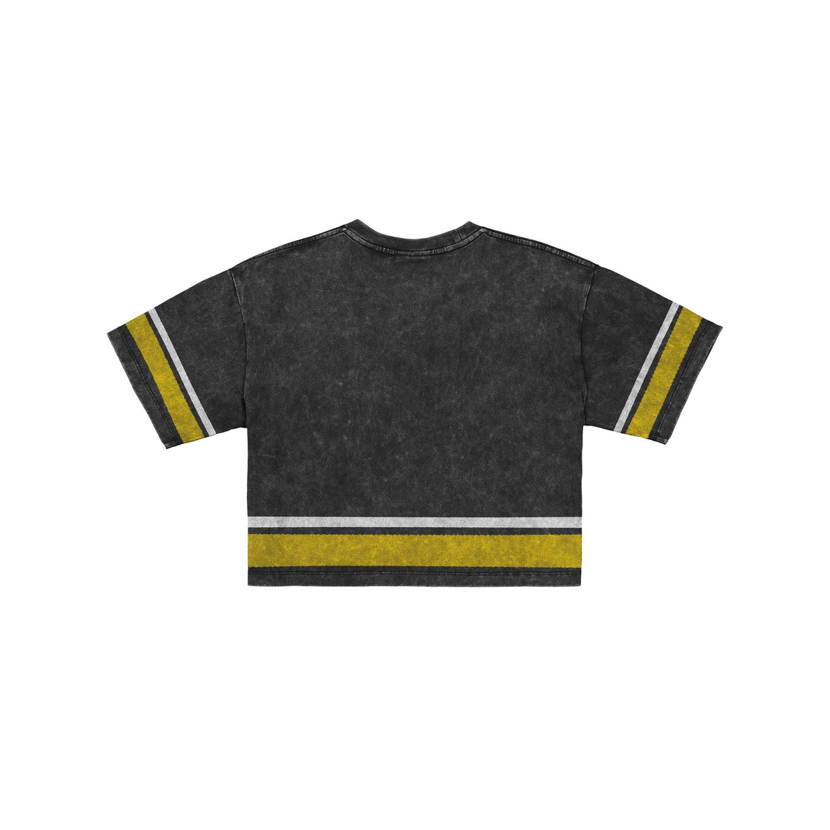 Michigan Wolverines Women's Vintage Stripe Cropped T-Shirt