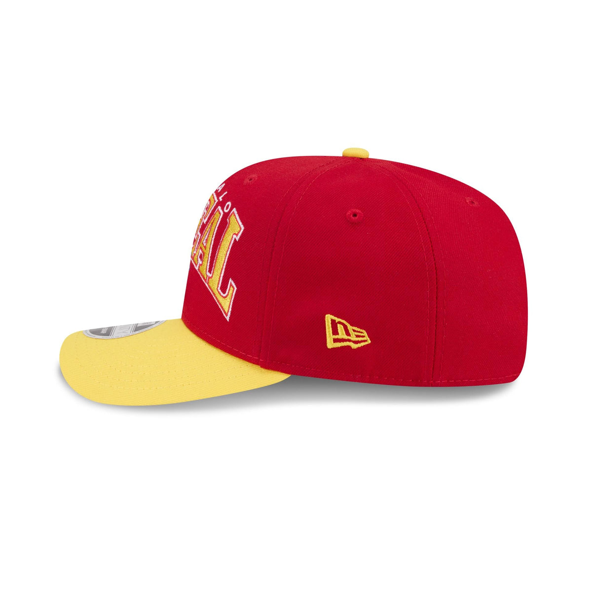 Buffalo Bisons Theme Night Wordmark 9SEVENTY Stretch-Snap Hat