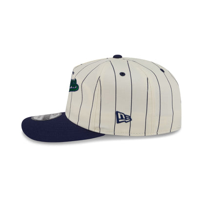 Hartford Whalers Chrome White Pinstripe 19TWENTY Snapback Hat