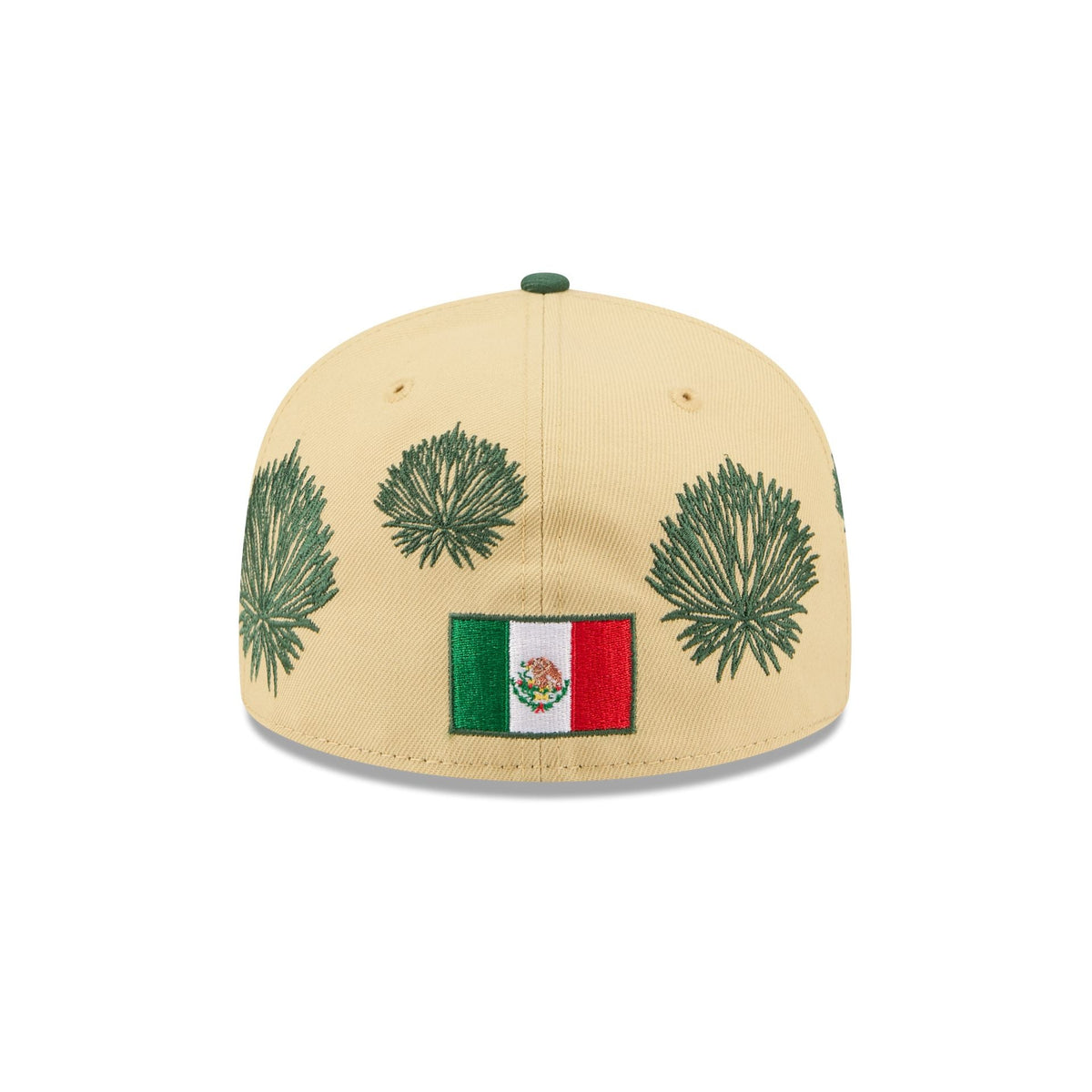 Boston Red Sox Agave 59FIFTY Fitted Hat