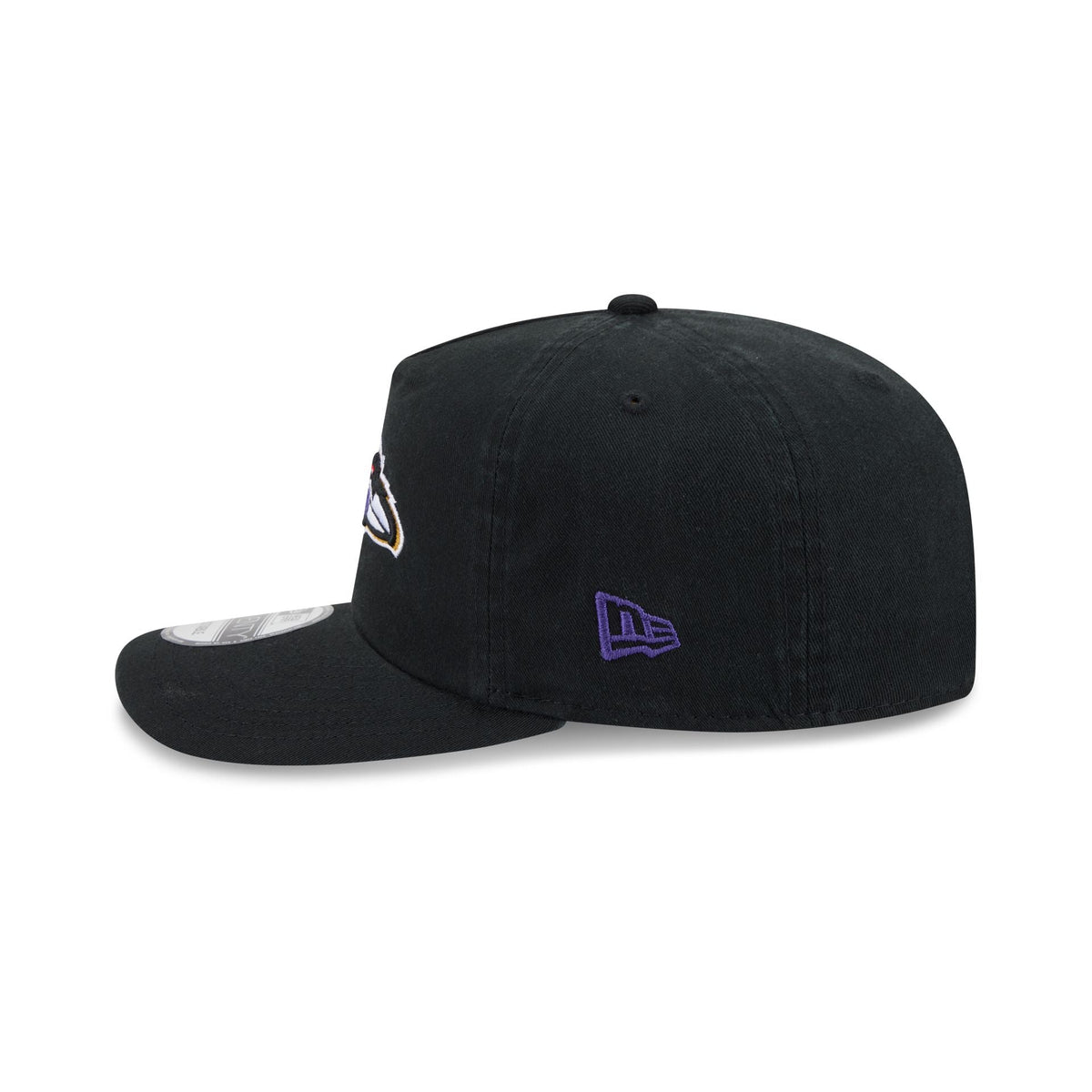 Baltimore Ravens Team 19TWENTY Snapback Hat