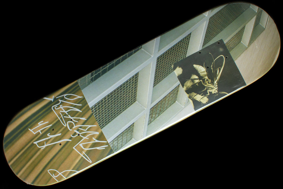 Wasp Moth Deck 8.375"