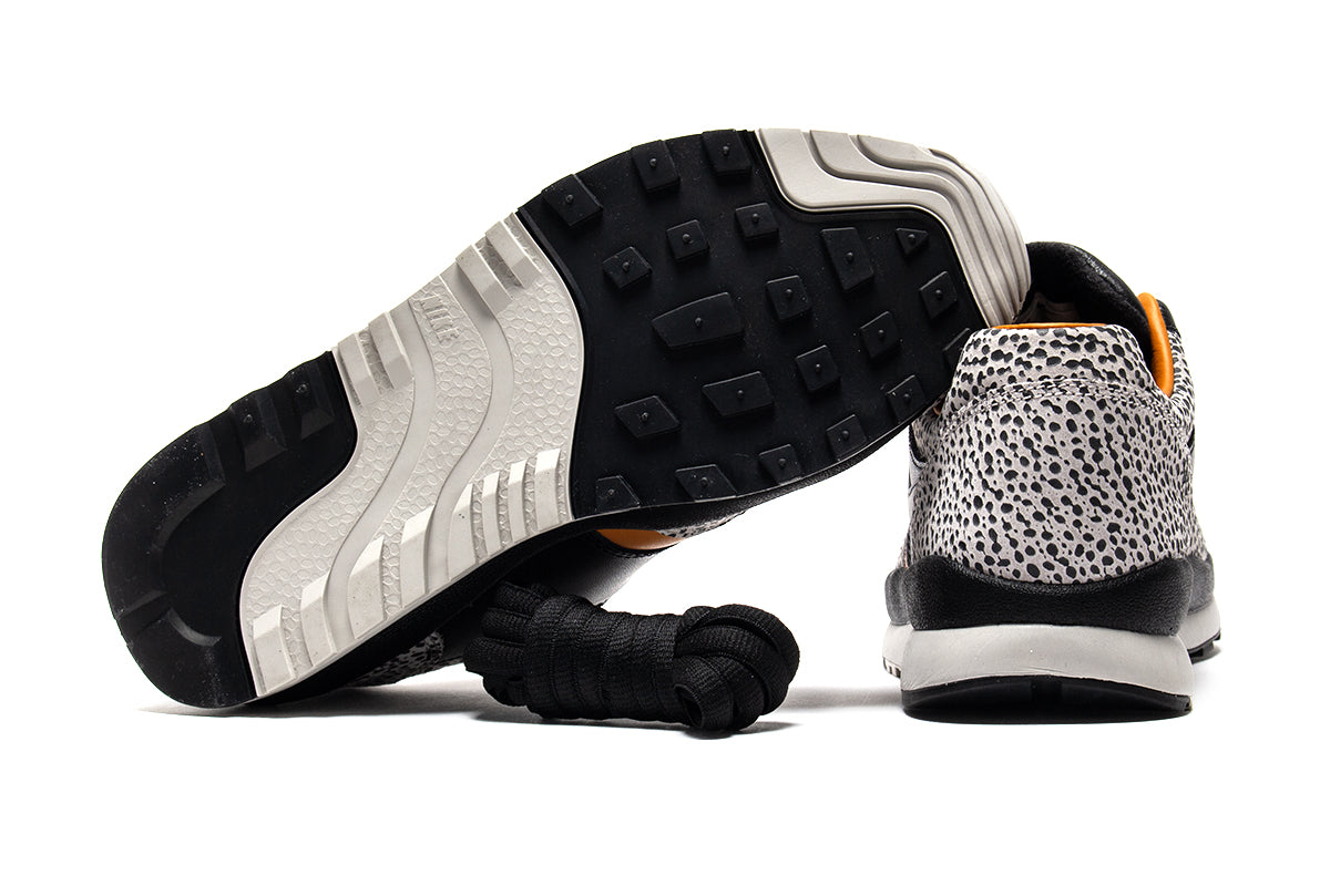 Air Safari