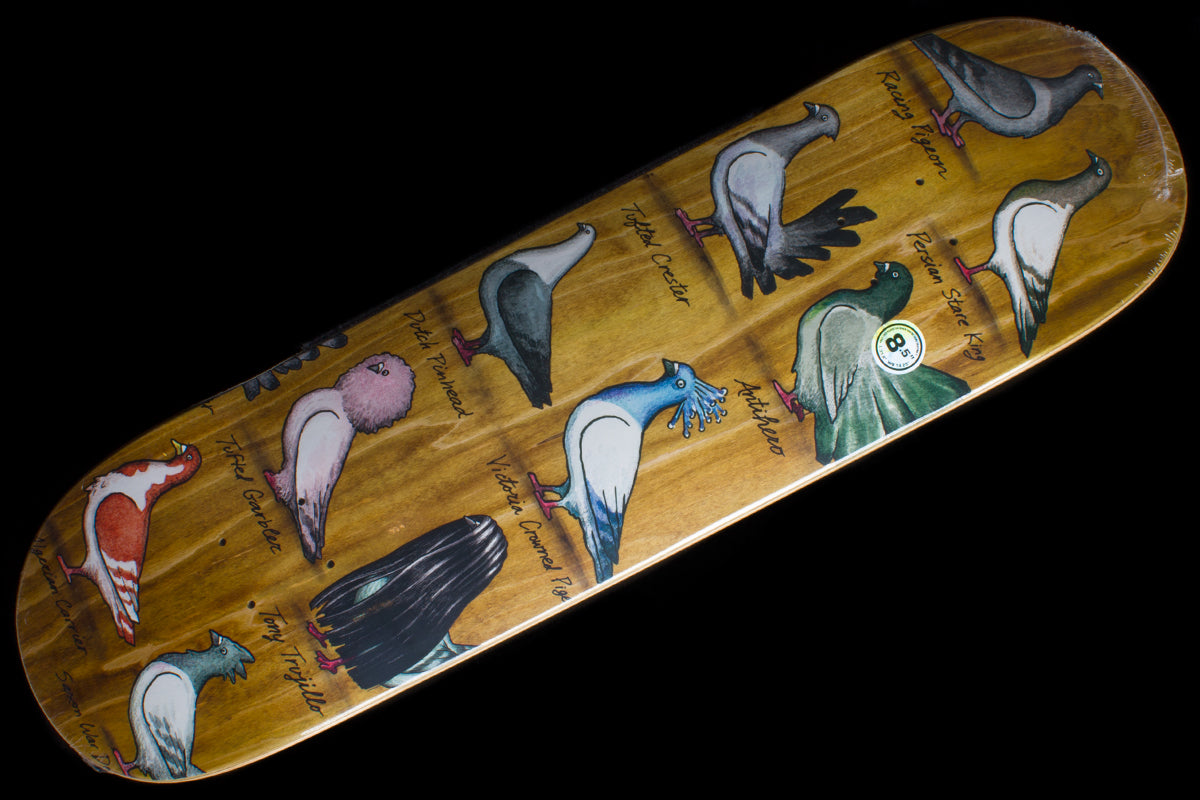 Trujillo Show Pigeons Deck Brown 8.5